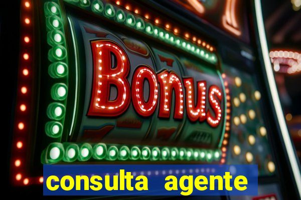 consulta agente autuador sp